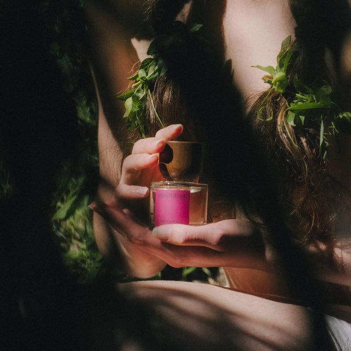 Paraphrase | Fruit Thieves