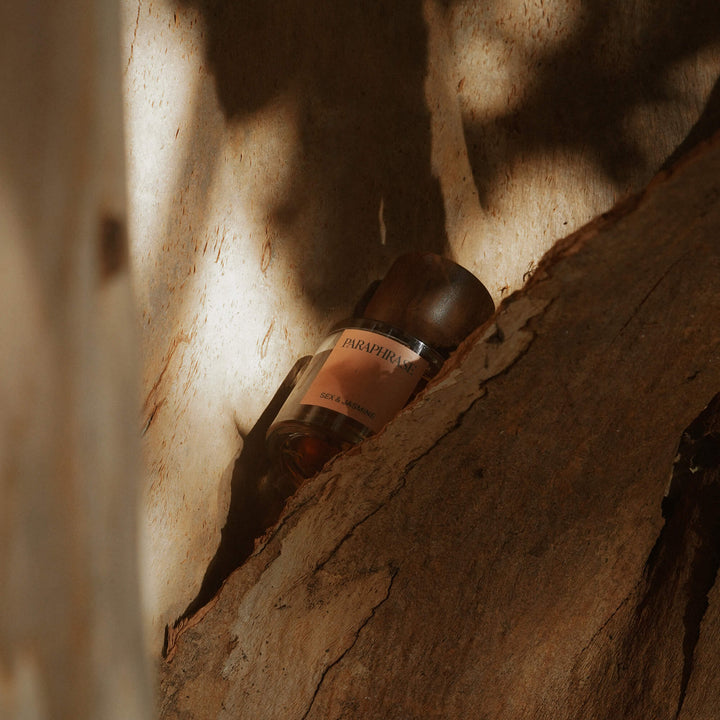 Paraphrase | Sex & Jasmine