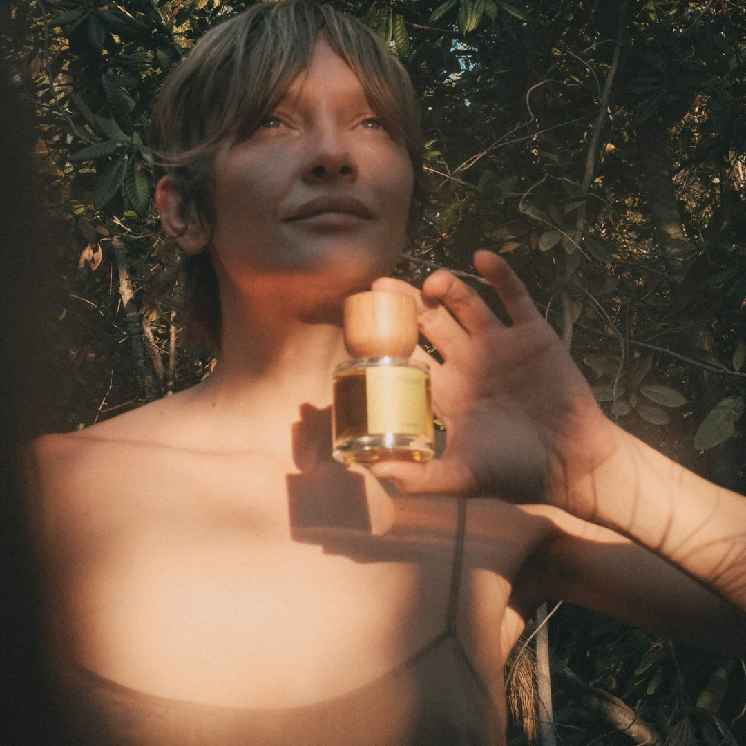 Paraphrase | Soft Woods