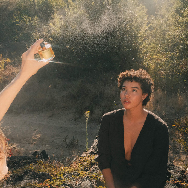 Paraphrase | Soft Woods