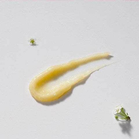 Neal's Yard Remedies | Wild Rose Beauty Balm 50g