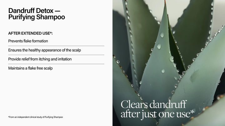 Keune | Care | Dandruff Detox Purifying Shampoo