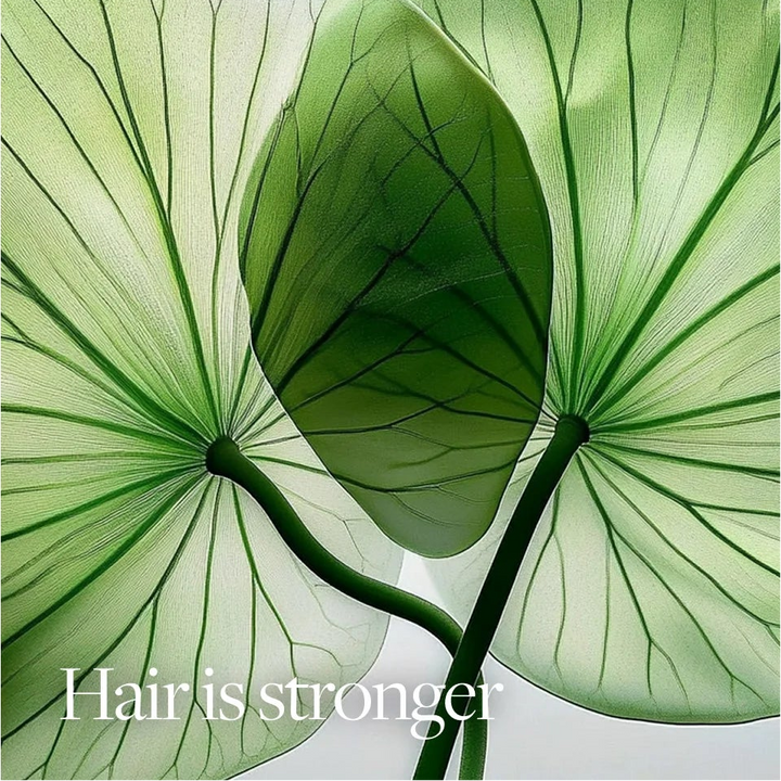 Advertisement for a hair treatment product with green leaf design on a white background