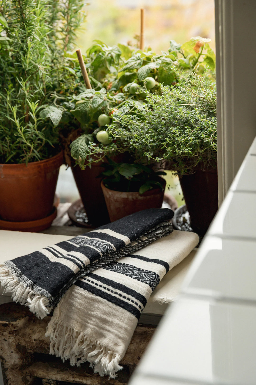 Tofino Towels | THE FREEMONT | Cotton Kitchen Towel - Set of 2