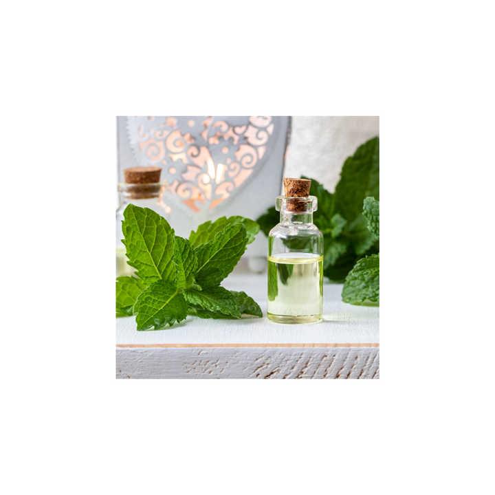 Oak & Tonic Organics | Essential Oil Notes [10ml] - Oak + Tonic